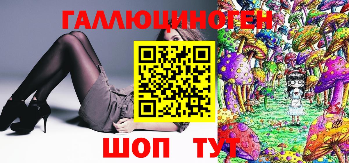 Чайковский  Галлюциногенные грибы Magic Shrooms  Вход с VPN  Галлюциногенные грибы Psilocybe 
