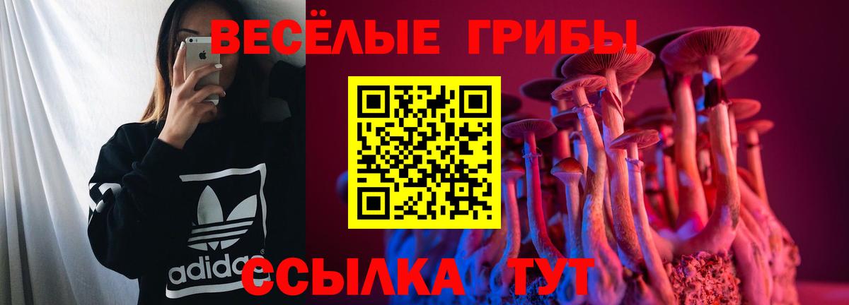 Псилоцибиновые грибы Psilocybe Чайковский